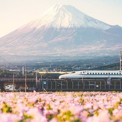 Tokyo to Mount Fuji Private Guided Experiences