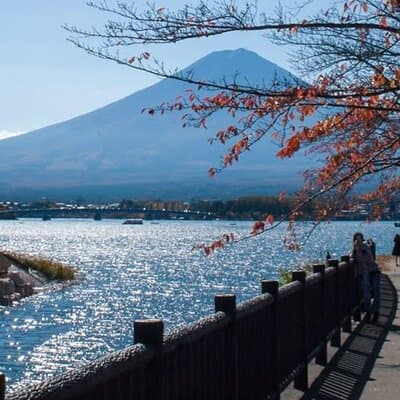 Tokyo to Mount Fuji Private Guided Experiences 2