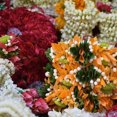 Bangkok Lotus Fields, Orchid Farm, and Flower Market Tour 3