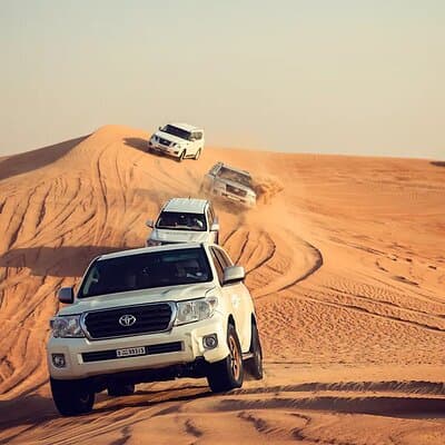 Dubai Desert Adventure Dune Safari Camel Ride BBQ & Stargazing 4