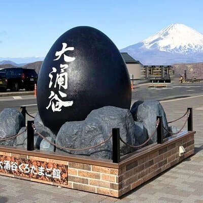 Hakone & Mount Fuji Day Trip:Lake Ashi Torii Gate & Oshino Hakkai 3