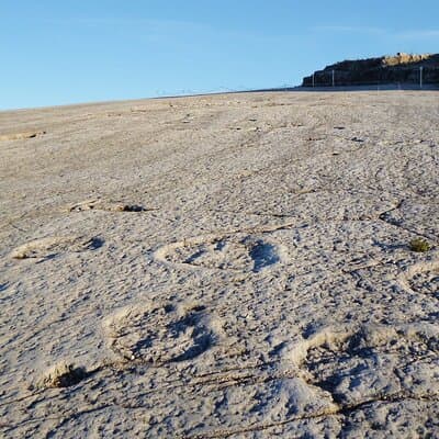 Lisbon: Dinosaur Footprints, Caves, and Obidos Tour 3