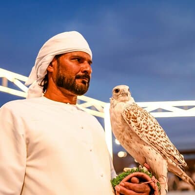 Dubai Desert Escape: Red Dunes Safari, Falcon, Camel & BBQ Dinner 5