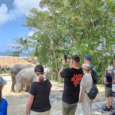 Elephant Sanctuary Small Group Tour in Phuket 5