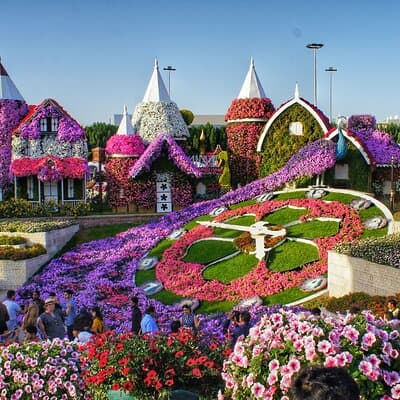 Dubai Miracle Garden Entry Tickets with Optional Hotel Transfers 2