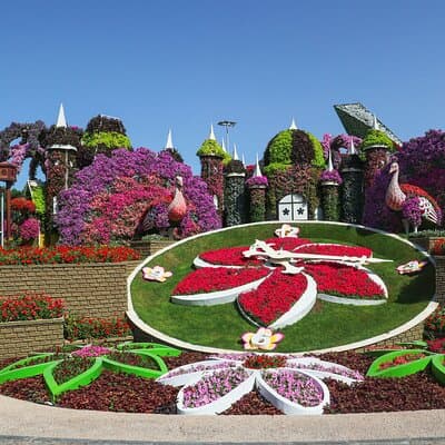 Dubai Miracle Garden Entry Tickets with Optional Hotel Transfers 3