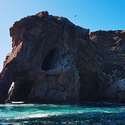 Private: Berlenga Islands by Boat, Peniche & Óbidos from Lisbon 3