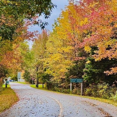 Mini Cabot Scenic Drive and Bell Museum Experience 5