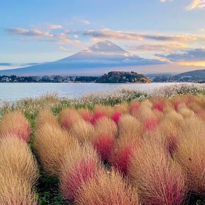 Mt. Fuji Autumn leaves And Heritage Village Trip Tokyo 5