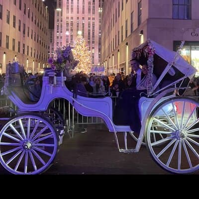 Amazing Horse and Carriage Rockefeller and Christmas lights tour 3