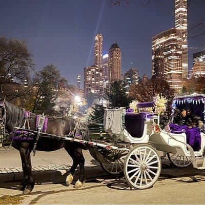 Amazing Horse and Carriage Rockefeller and Christmas lights tour 5
