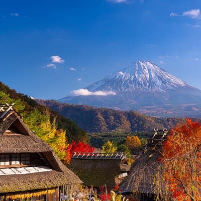 Mt. Fuji Autumn leaves And Heritage Village Trip Tokyo 2