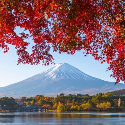 Mt. Fuji Autumn leaves And Heritage Village Trip Tokyo
