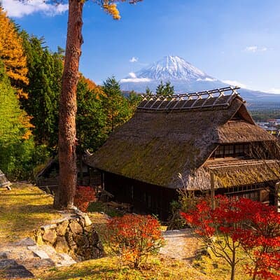 Mt. Fuji Autumn leaves And Heritage Village Trip Tokyo 3