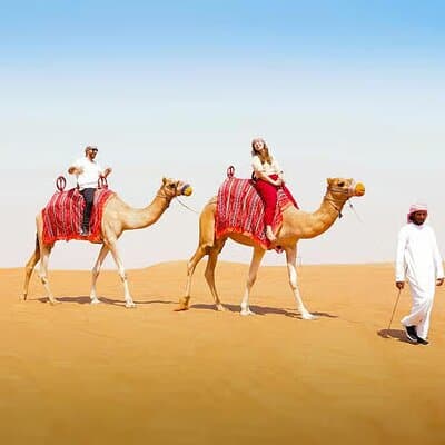Dubai Desert Adventure Dune Safari Camel Ride BBQ & Stargazing