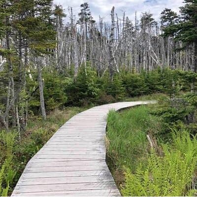 Hiking Trail at Louisbourg Lighthouse Scenic Coastal Views Tour 4