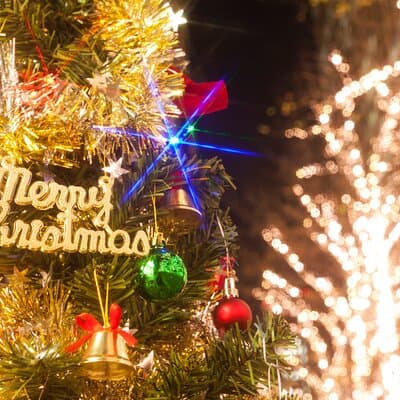 Experience the Magic of Christmas in Tokyo by Private Vehicle 3