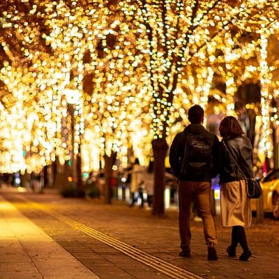 Experience the Magic of Christmas in Tokyo by Private Vehicle 5