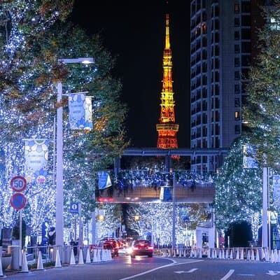 Experience the Magic of Christmas in Tokyo by Private Vehicle 2