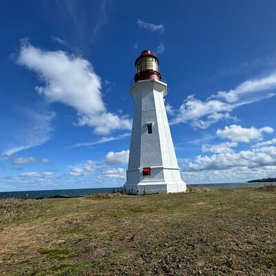 Sydney's Story: From Downtown to Coastline