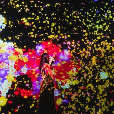 Tokyo: teamLab Planets & Toyosu Fish Market Guided Tour 3