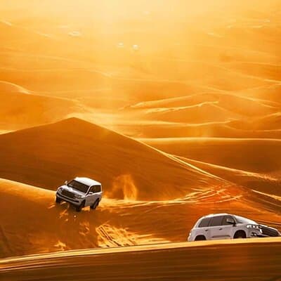 VIP Morning Desert Safari Dune Bashing Sandboarding & Camel Ride 5