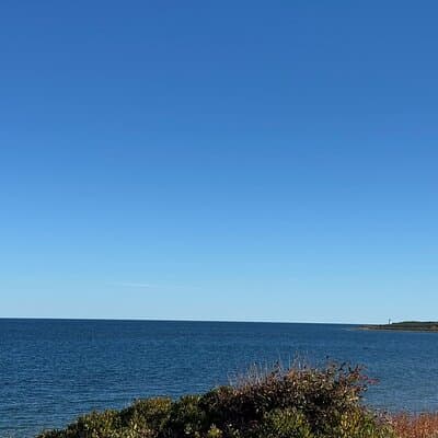 Sydney's Story: From Downtown to Coastline 5