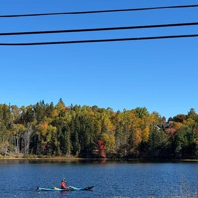 Sydney City Coastline and Blackett's Lake Tour 4