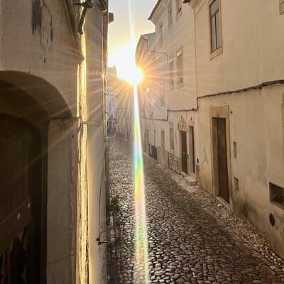 7-Day Guided Ebike in Alentejo: Wine and Castle Cycling Tour 4