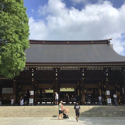 Tokyo: Meiji Jingu Cultural Walking Tour with Japanese Historian 4