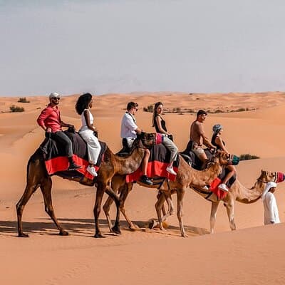 Dubai VIP Desert Safari with Pick/Drop, Camel Ride, Dinner & Show 2
