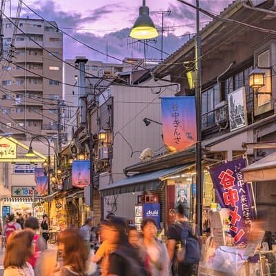 Yanaka & Nezu Walking Tour -Discover The Edo Spirit- 4