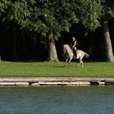 One day at Versaille 3