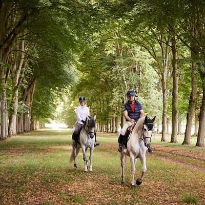 One day at Versaille 5