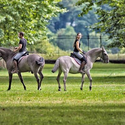 One day at Versaille