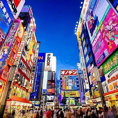 Tokyo Private Tour with English Speaking Driver Customizable