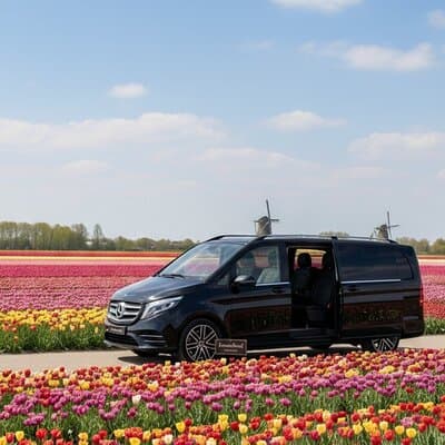 Keukenhof Luxury Private tour w. Canal Cruise & Tulip Experience 4