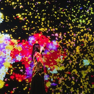 Tokyo: teamLab, Azabudai Hills & National Art Center Tour 2