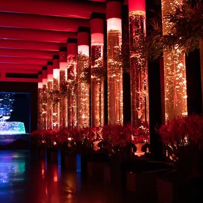 Art Aquarium Museum Ginza Admission Ticket 4