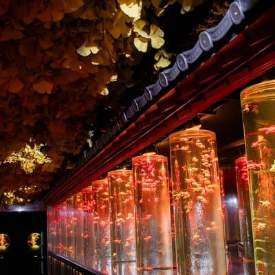 Art Aquarium Museum Ginza Admission Ticket 5