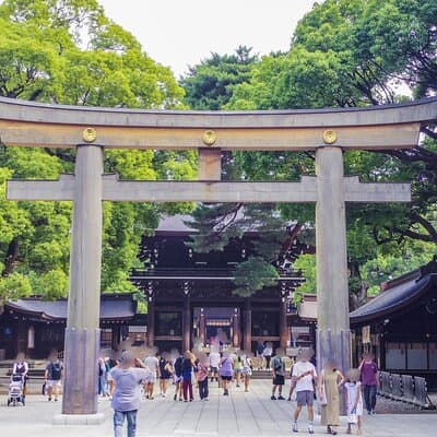 Tokyo Temples & Shrines Tour: Meiji Shrine, Asakusa & Zojoji 4