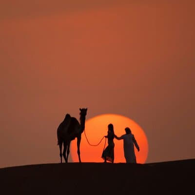 Sunrise Desert Safari +Arabic Breakfast,quad/buggy,Camel Ride