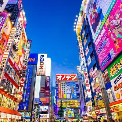 Tokyo Private Tour with English Speaking Driver Customizable 2