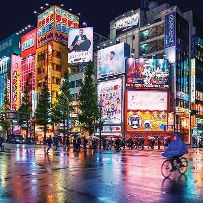Tokyo Private Tour with English Speaking Driver Customizable 3