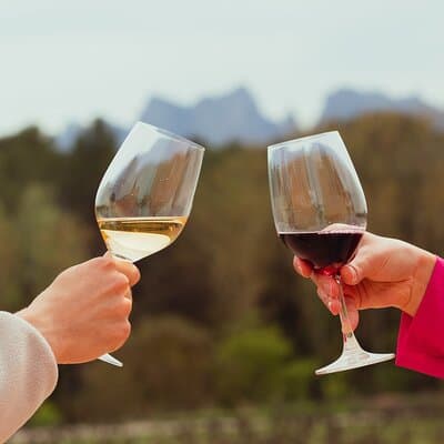 Montserrat & Boutique Winery with Catalan Brunch | Private Tour 4