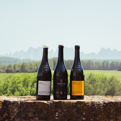 Montserrat & Boutique Winery with Catalan Brunch | Private Tour