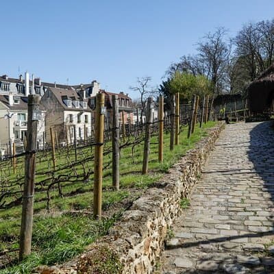 Time Travel to Montmartre 3