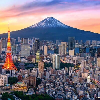 Tokyo Private Sightseeing Tour