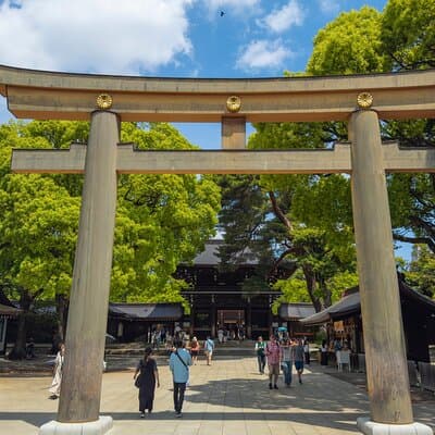 Tokyo Private Sightseeing Tour 3