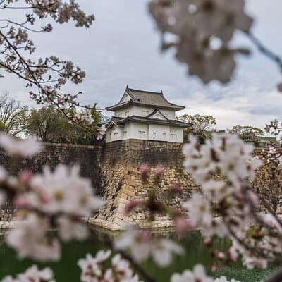 Tokyo Private Sightseeing Tour 4